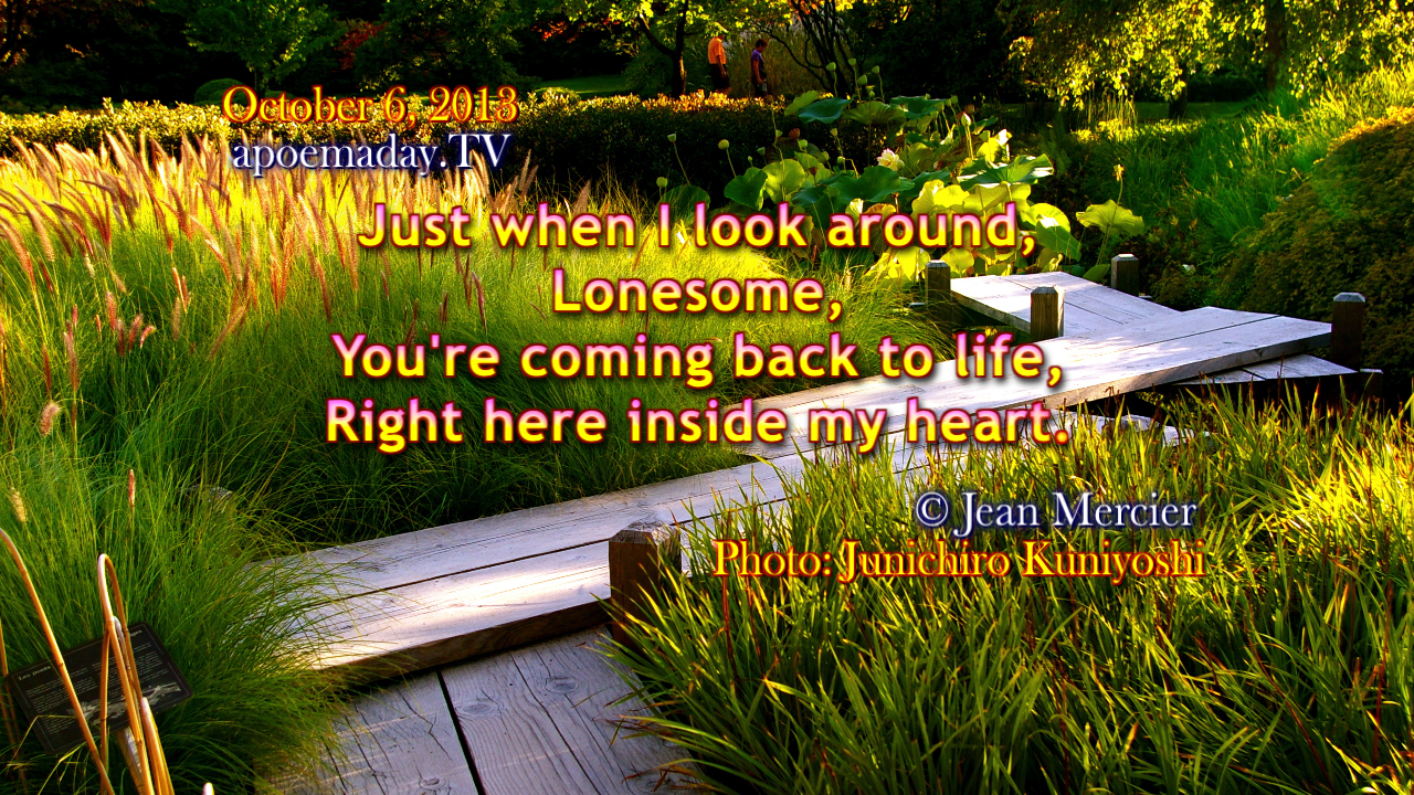 Chapter 82 - I Trust - 31 Notes for the Soul