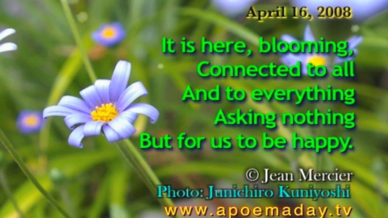 Chapter 16 - Vast & Infinite (Vintage Collection - April 2008)