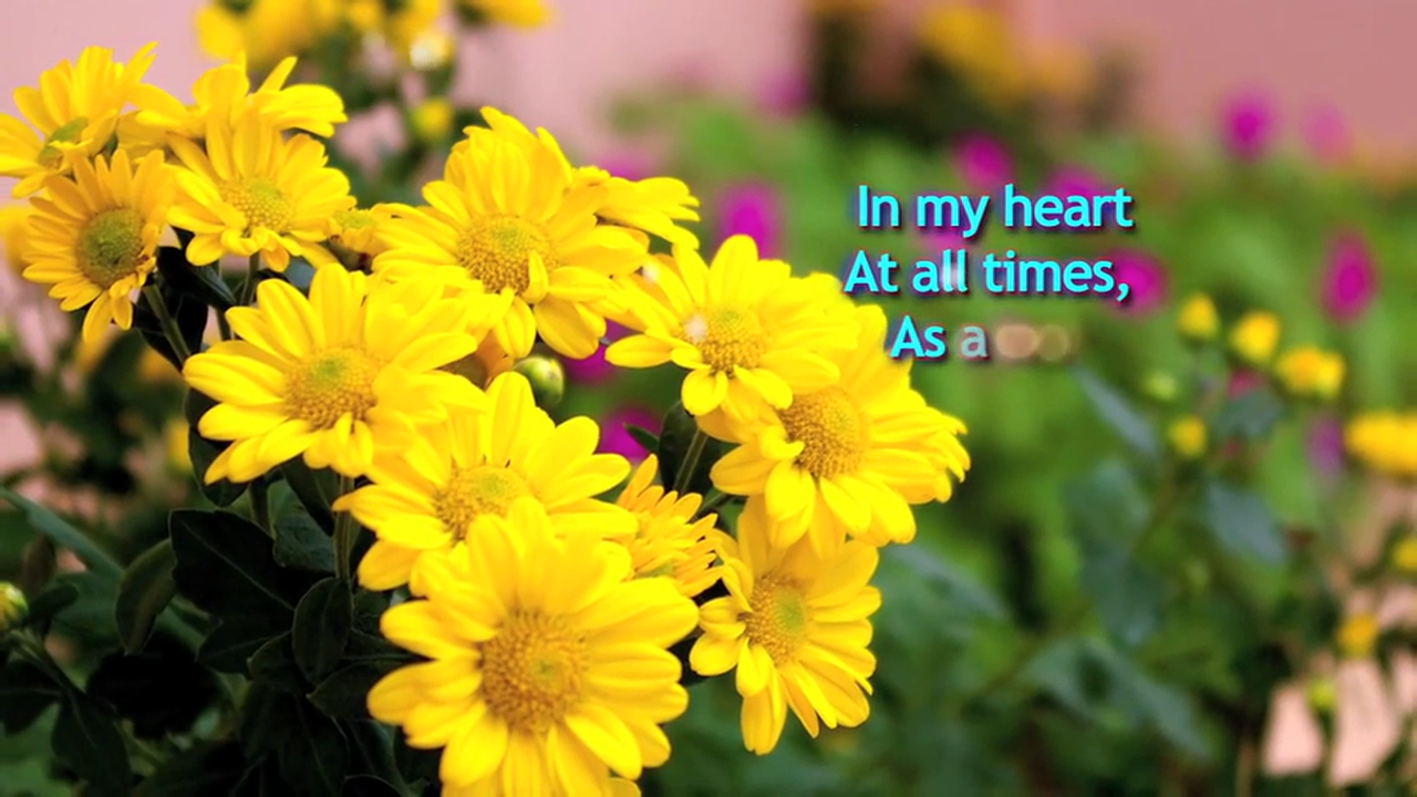 Chapter 24 - We Shine (Vintage Collection - December 2008)