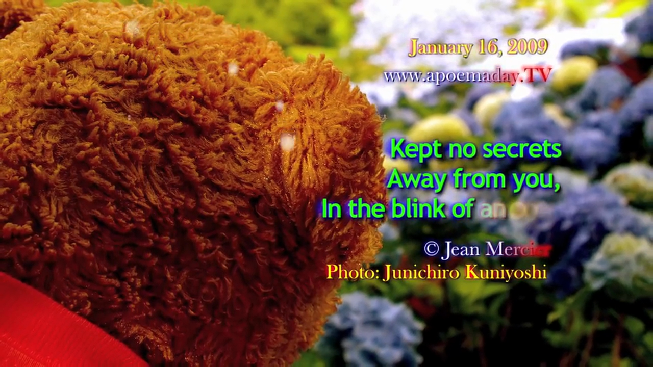 Chapter 25 - The Bridge - 31 Love Notes