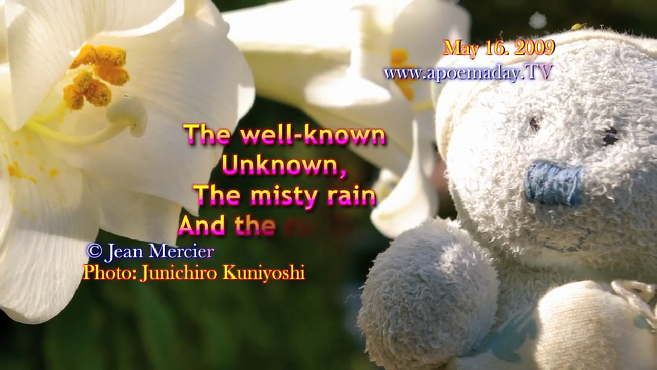 Chapter 29 - Pure Love - 31 Love Notes