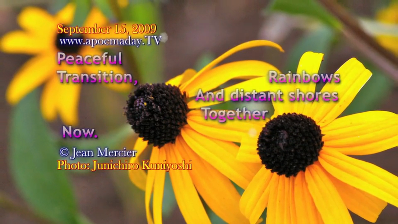 Chapter 33 - Another Season - 30 Love Notes