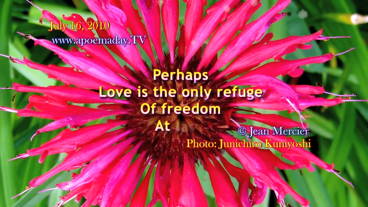 Chapter 43 - I Travel - 31 Notes for the Soul