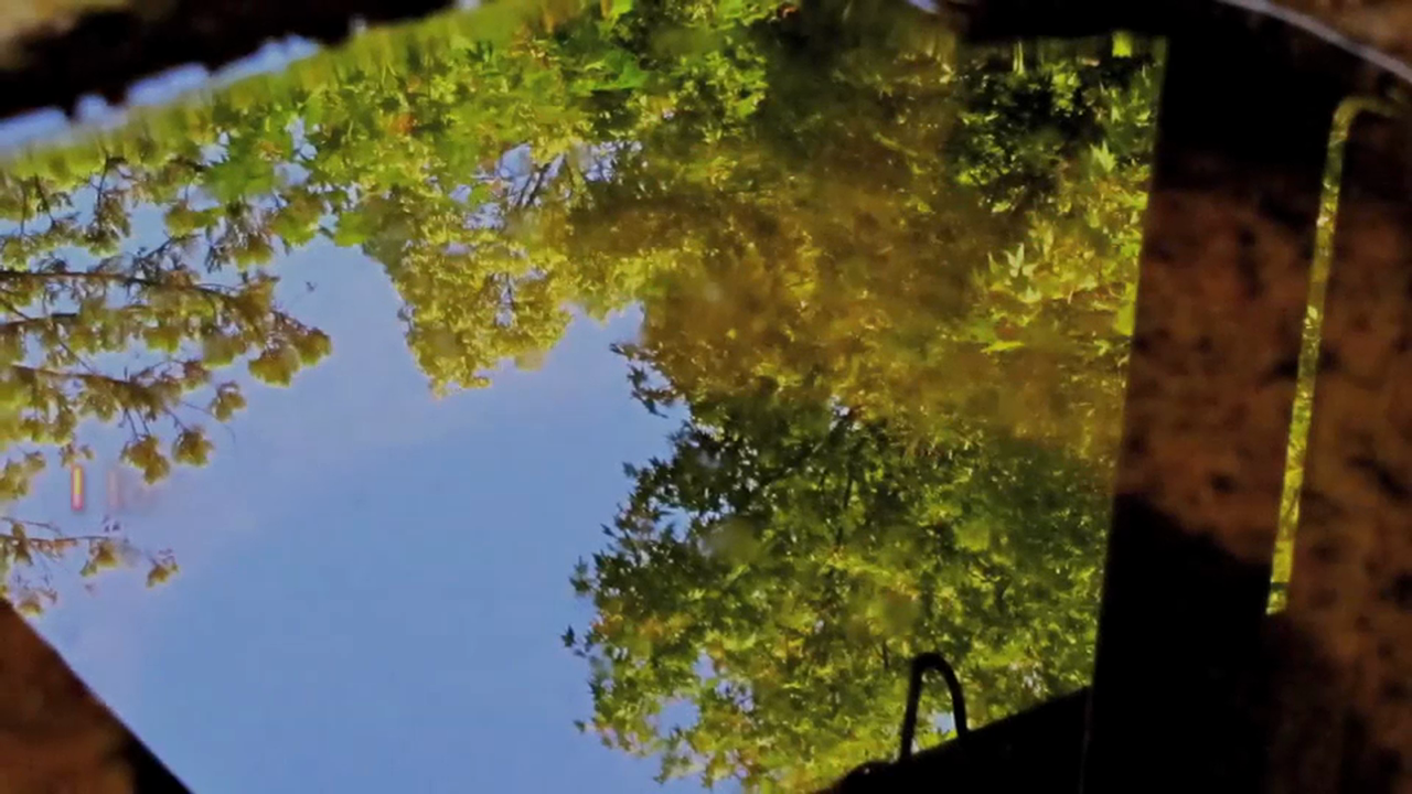 Chapter 52 - Japan Will Dance Again - 30 Love Notes