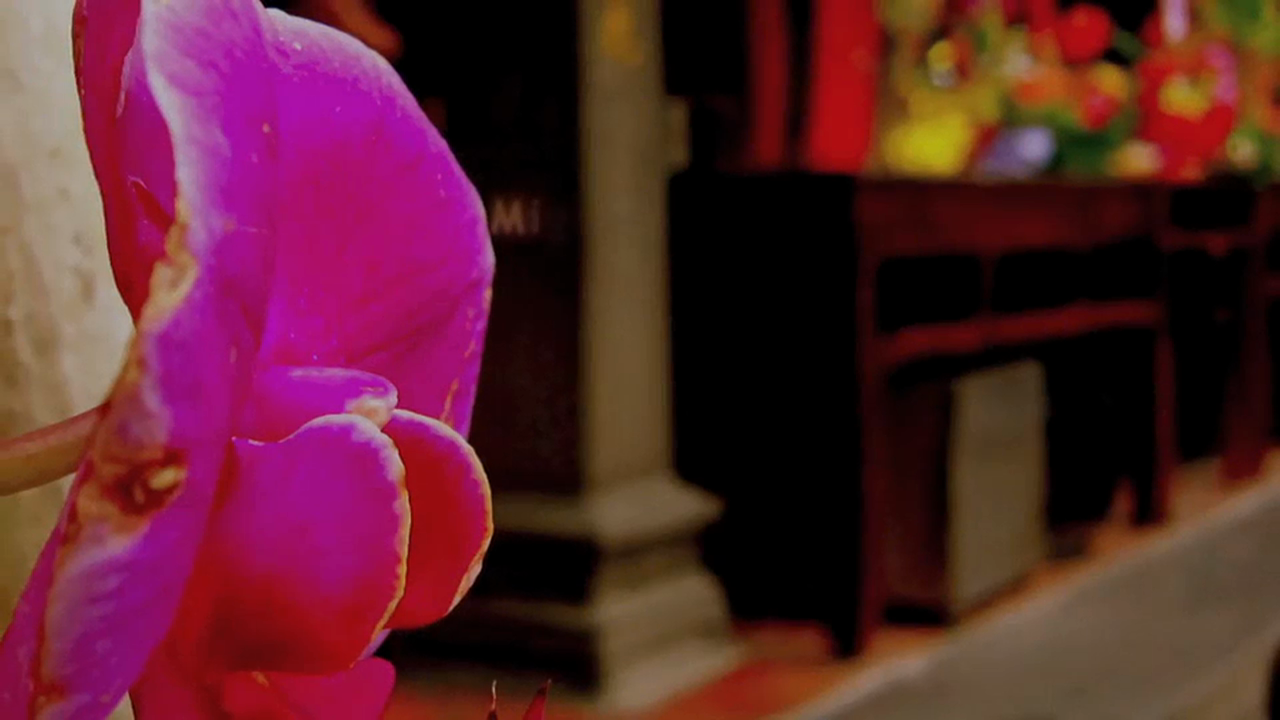 Chapter 54 - Effortlessly - 30 Notes for the Soul