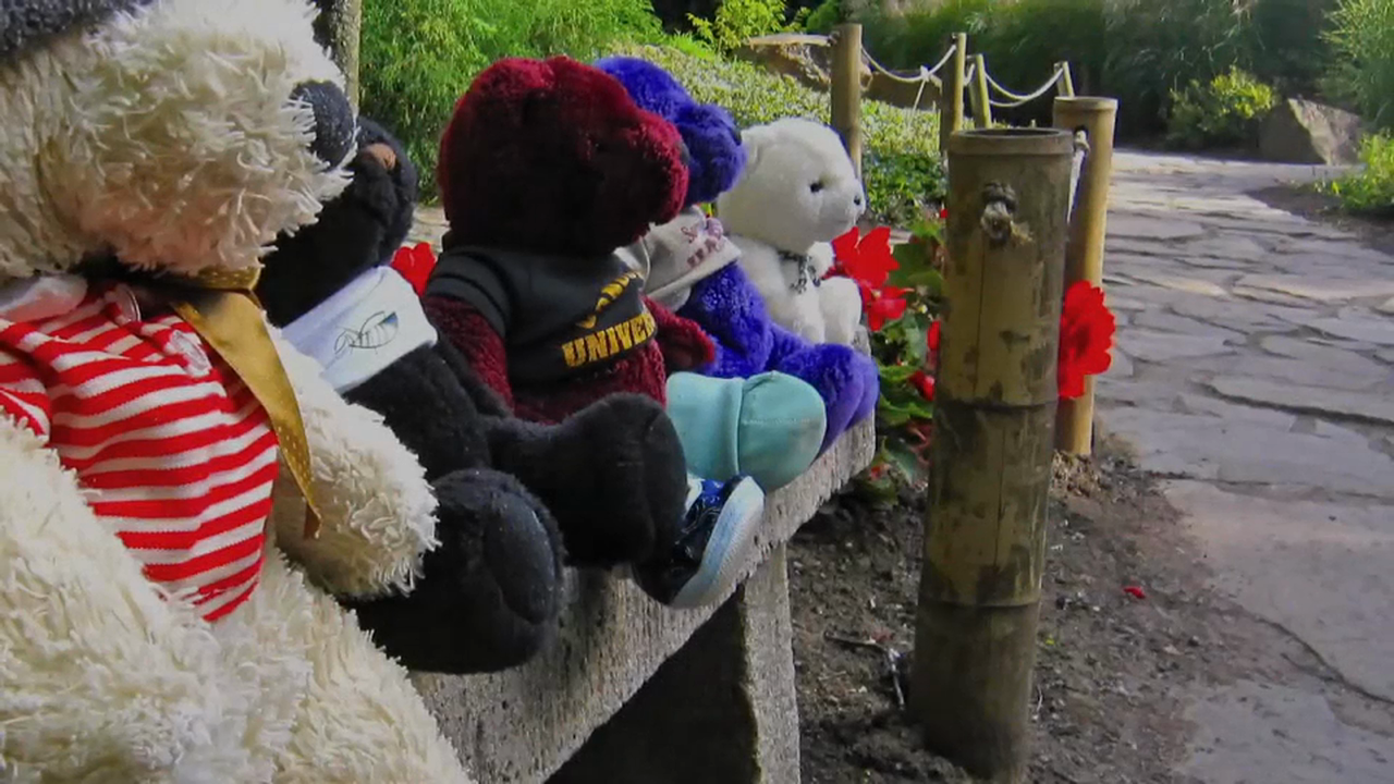 Chapter 57 - Peace Please - 30 Love Notes