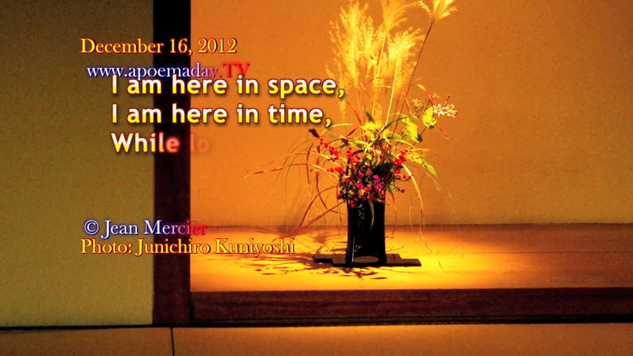 Chapter 72 - Love Never Dies - 31 Love Notes