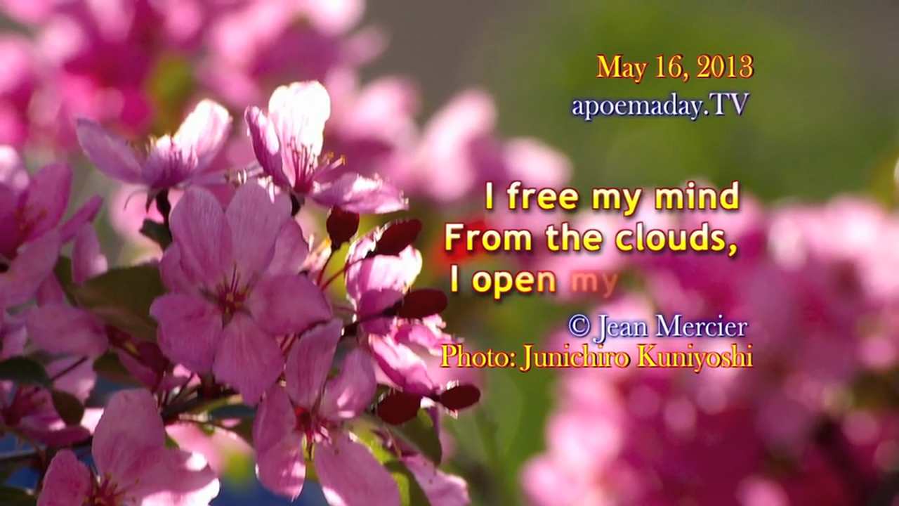 Chapter 77 - TRACES OF LOVE - 31 Love Notes