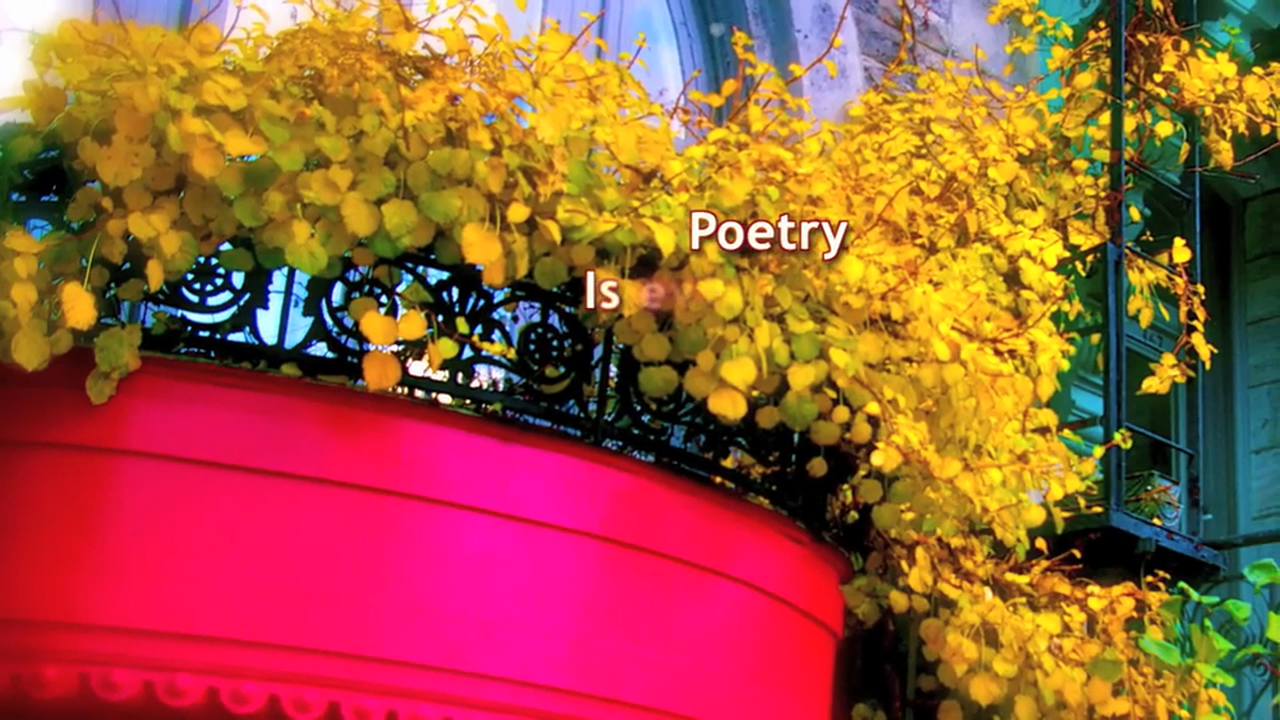 Chapter 95 - I CALL YOUR NAME - 30 Love Notes