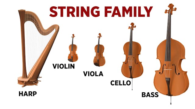 What Is An Orchestra? | Episode 2 Str...