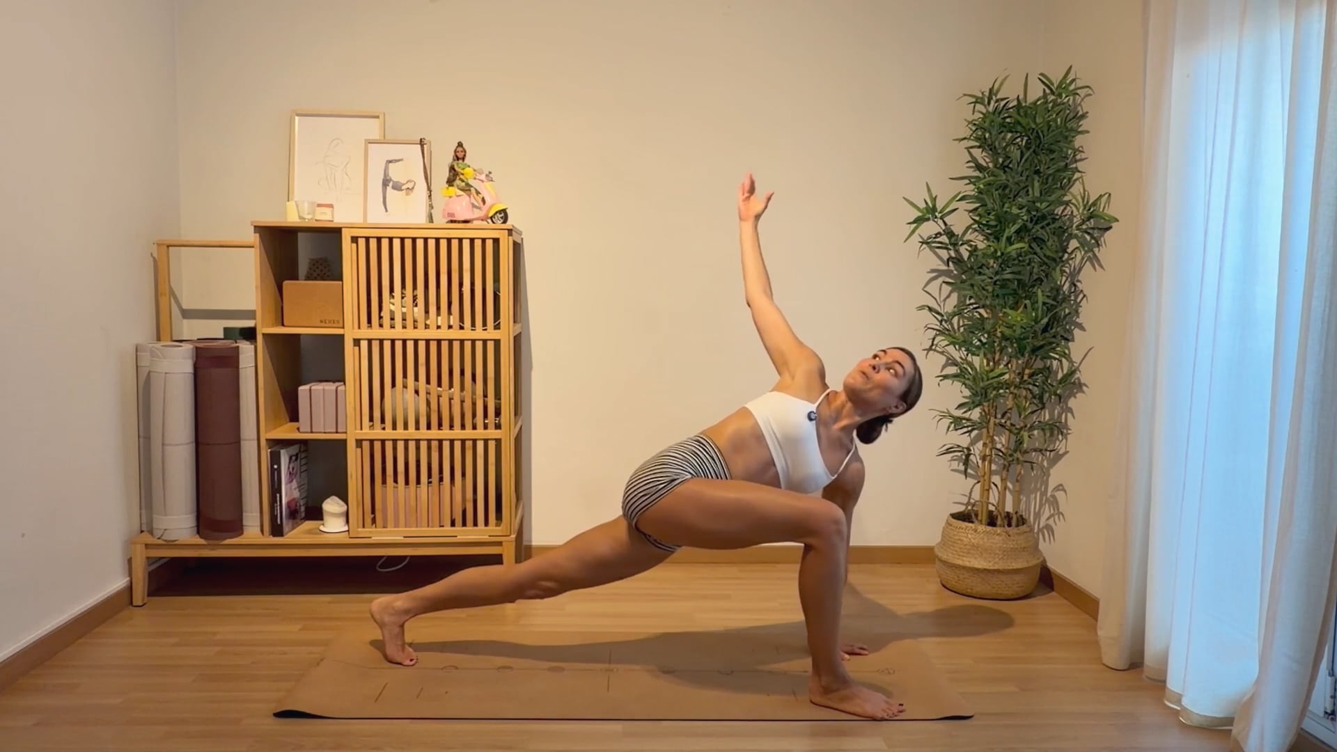 Adriana Sintes Video