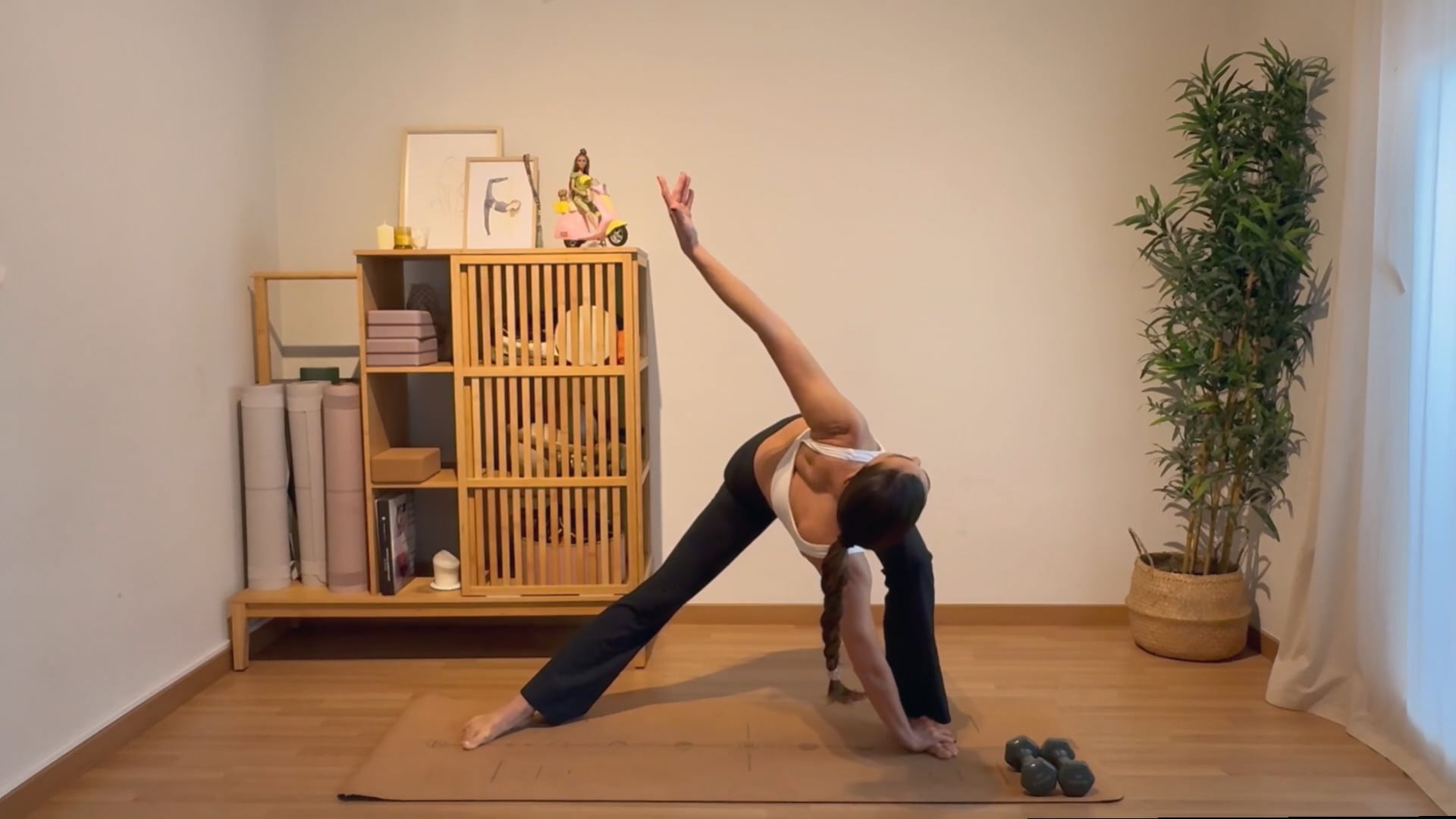 Adriana Sintes Video