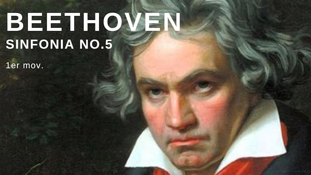 Beethoven 5a sinfonia, 1er movimiento
