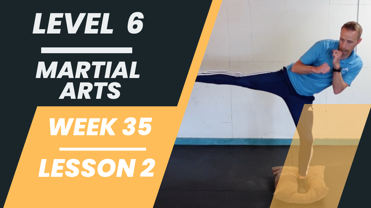 Level 6 - Week 35 - Lesson 2 - Martial Arts