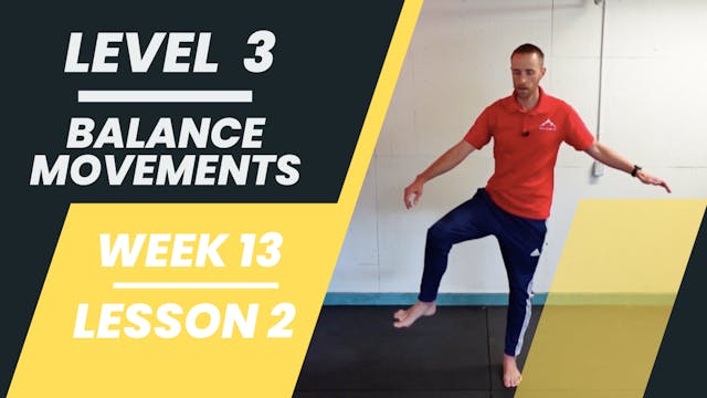 Level 3 - Week 13 - Lesson 2 - Balance Movements