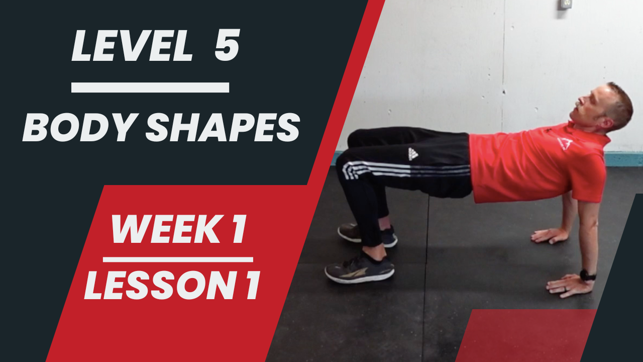 Level 5 - Week 1 - Lesson 1 - Body Shapes