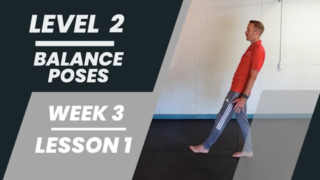 Level 2 - Week 3 - Lesson 1 - Balance Poses