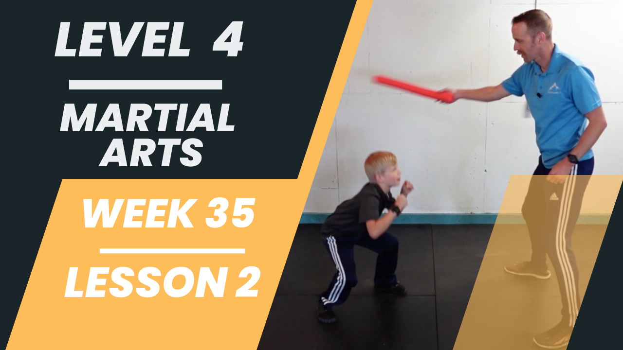 Level 4 - Week 35 - Lesson 2 - Martial Arts