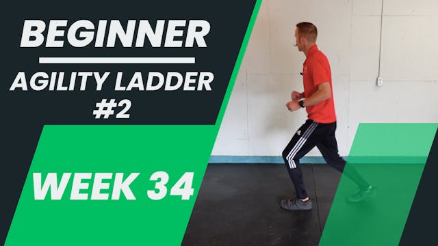 Beginner - Week 34 - Agility Ladder #2
