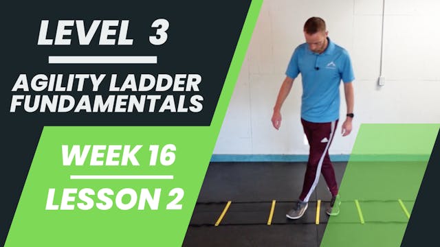 Level 3 - Week 16 - Lesson 2 - Agility Ladder Fundamentals