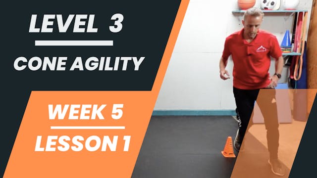 Level 3 - Week 5 - Lesson 1 - Cone Agility