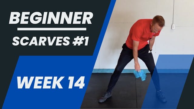 Beginner - Week 14 - Scarves #1