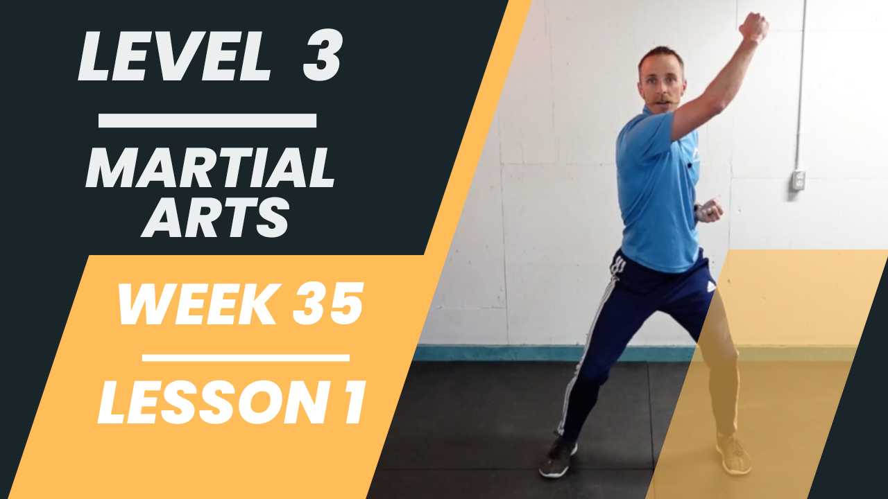 Level 3 - Week 35 - Lesson 1 - Martial Arts