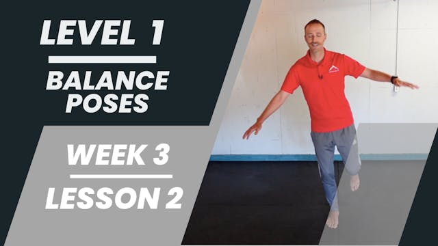 Level 1 - Week 3 - Lesson 2 - Balance Poses