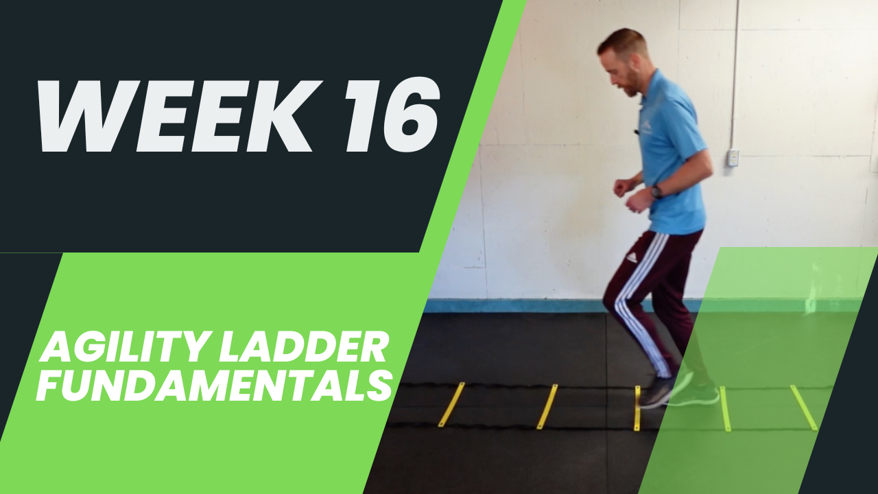 Week 16 PE - Agility Ladder Fundamentals