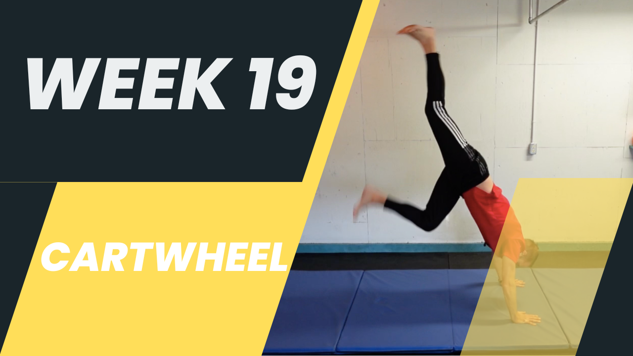 Week 19 PE - Cartwheel
