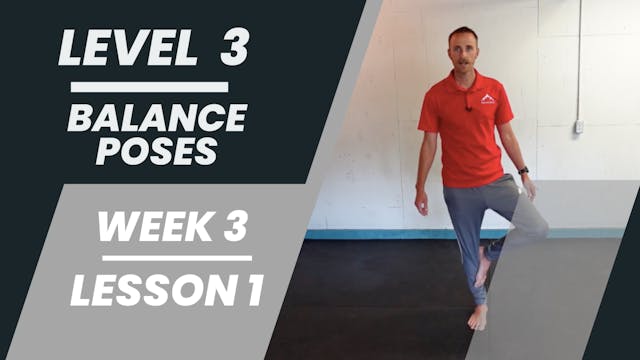 Level 3 - Week 3 - Lesson 1 - Balance Poses