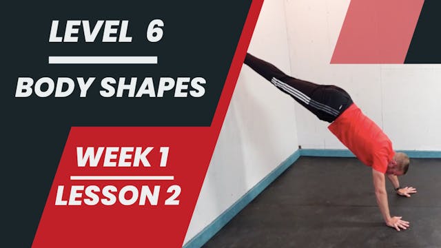 Level 6 - Week 1 - Lesson 2 - Body Shapes