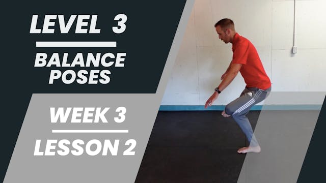 Level 3 - Week 3 - Lesson 2 - Balance Poses