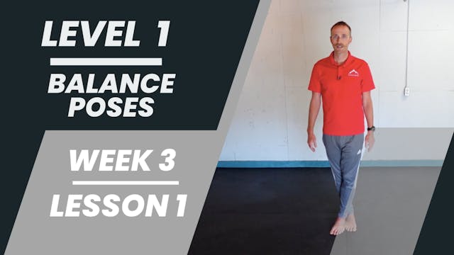 Level 1 - Week 3 - Lesson 1 - Balance Poses