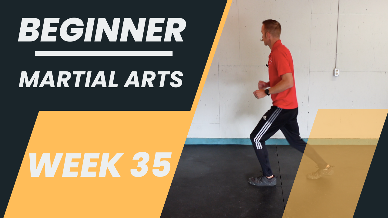 Beginner - Week 35 - Martial Arts