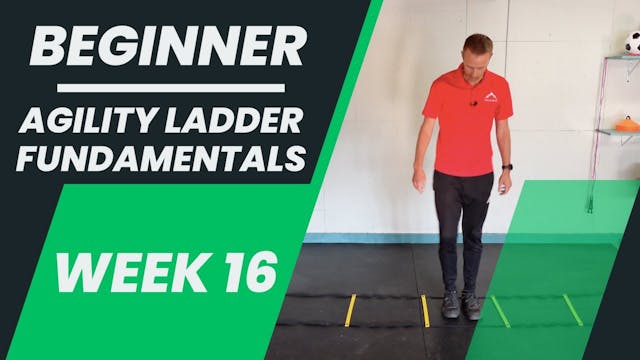 Beginner - Week 16 - Agility Ladder