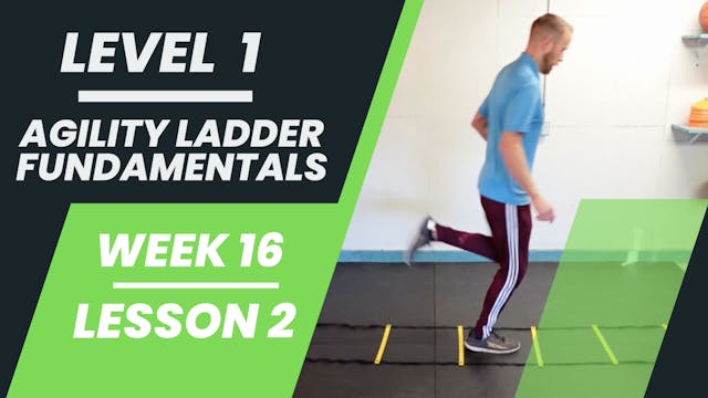 Level 1 - Week 16 - Lesson 2 - Agility Ladder Fundamentals