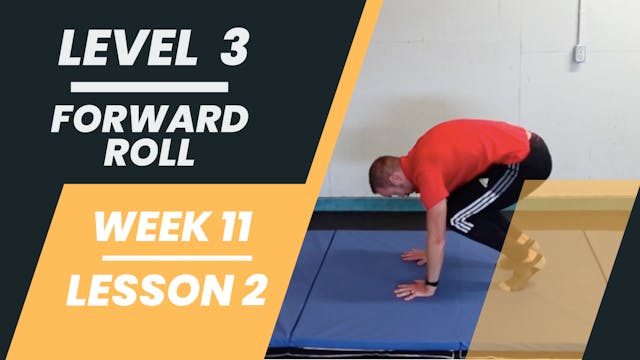 Level 3 - Week 11 - Lesson 2 - Forward Roll