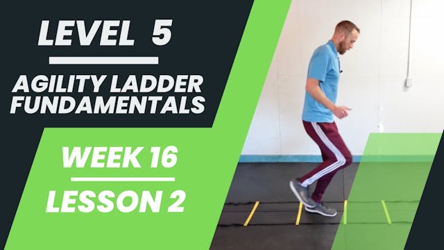 Level 5 - Week 16 - Lesson 2 - Agility Ladder Fundamentals