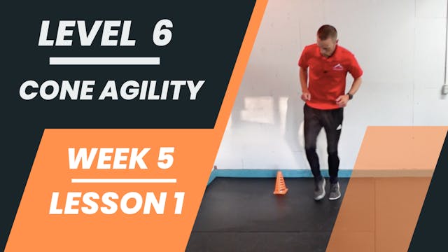 Level 6 - Week 5 - Lesson 1 - Cone Agility