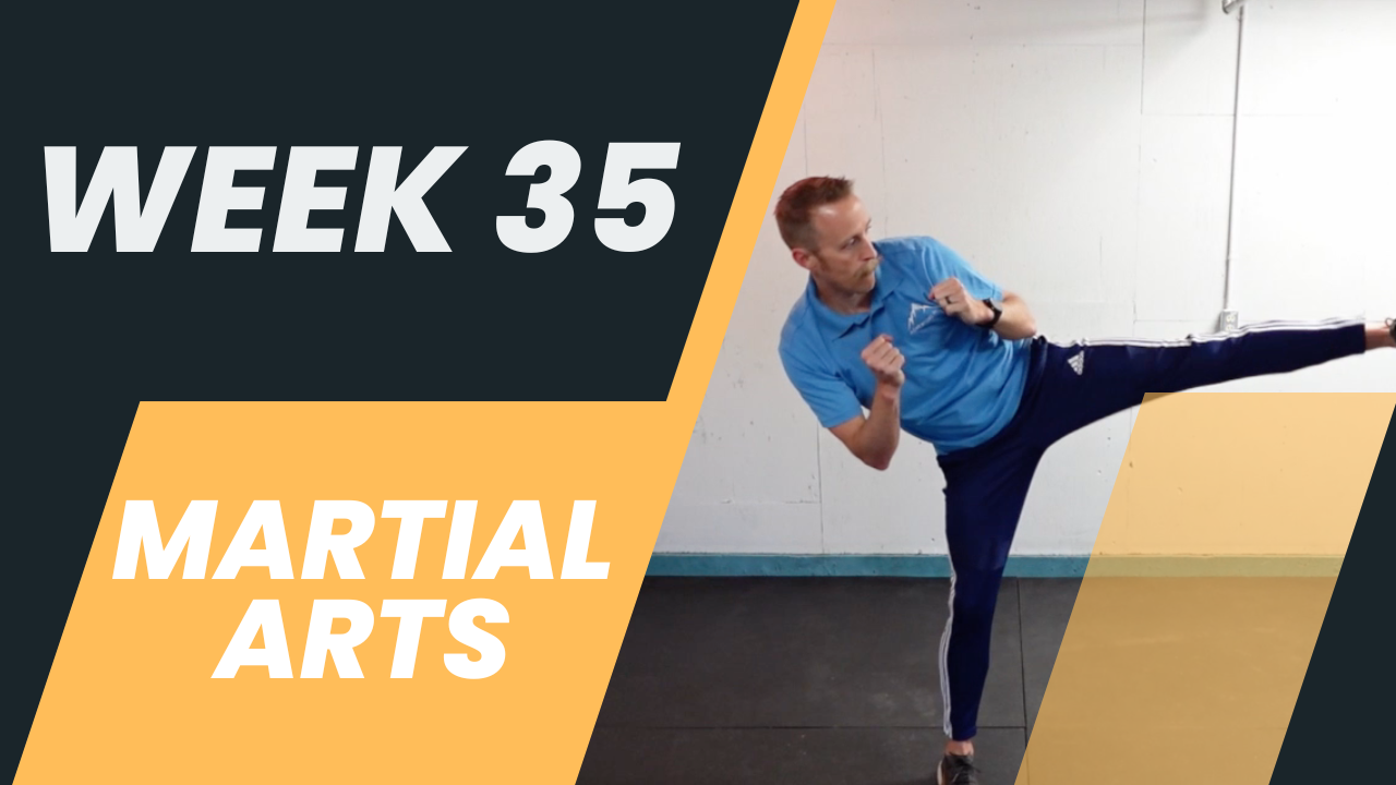 Week 35 PE - Martial Arts