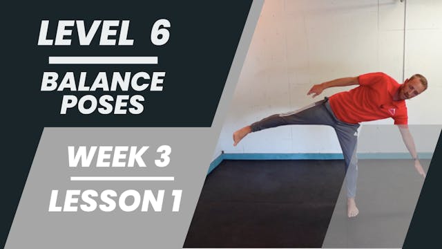 Level 6 - Week 3 - Lesson 1 - Balance Poses