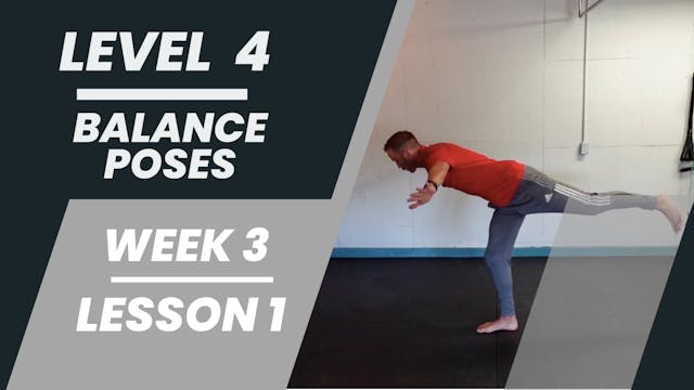 Level 4 - Week 3 - Lesson 1 - Balance Poses