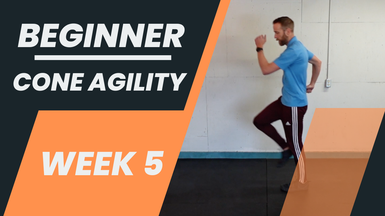 Beginner - Week 5 - Cone Agility