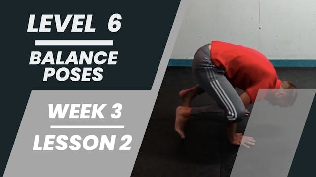 Level 6 - Week 3 - Lesson 2 - Balance Poses