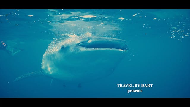 TravelByDart_Ep6S5_Philippines1_WEB
