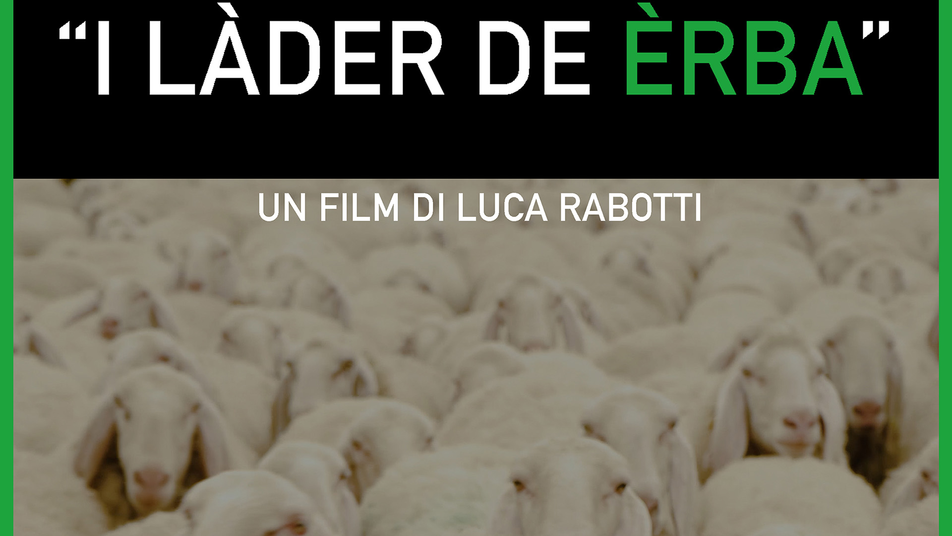 I Làder de Èrba / Weed Thieves