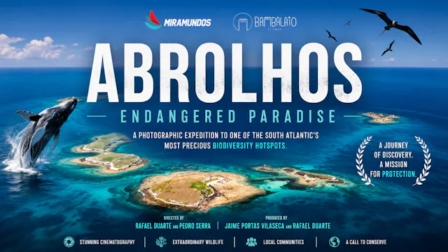 Abrolhos