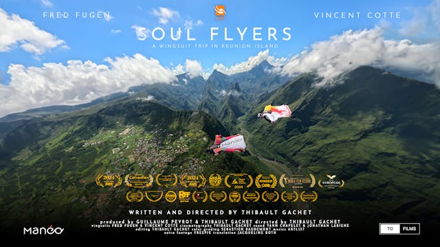 Soul Flyers