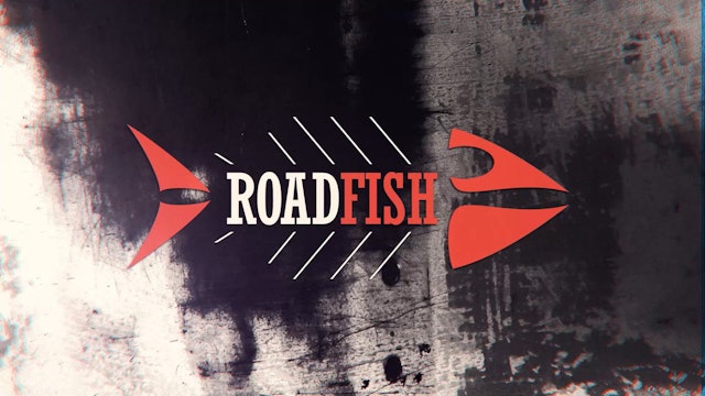 Roadfish-EP09- Roadfish sur la riviere Miramichi